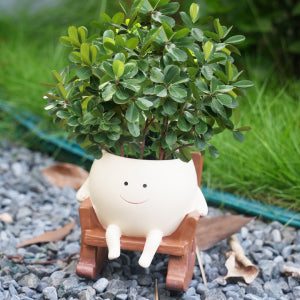 Smiley Face Planter Rocking Chair